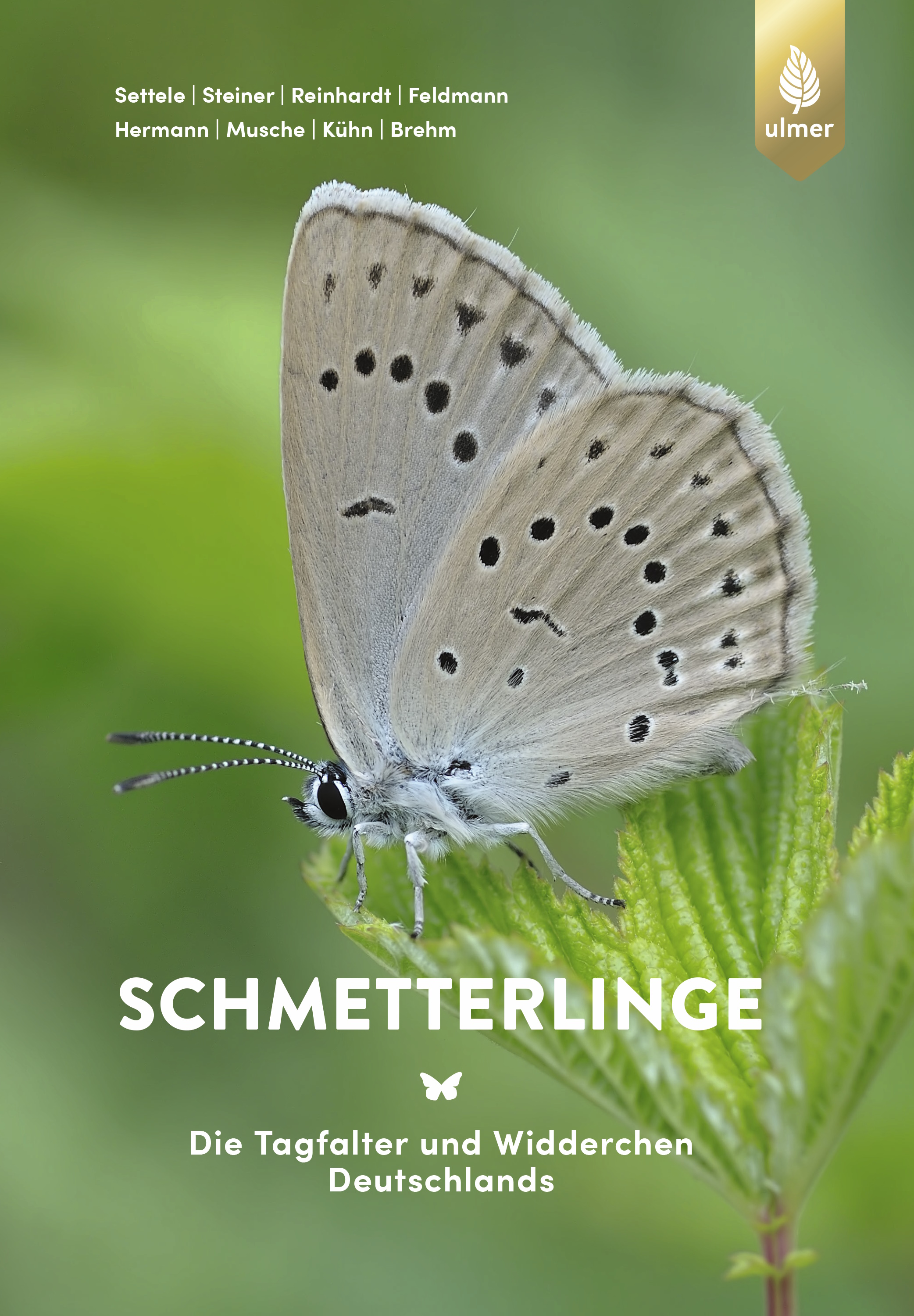 Schmetterlinge - Die Tagfalter und Widderchen Deutschlands